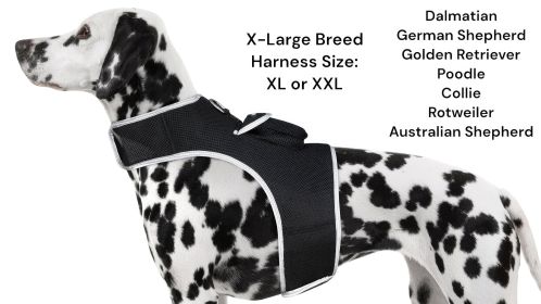 Waterproof Realtime Mini GPS Dog Tracker Rechargeable Pet Locator NEW Size:M